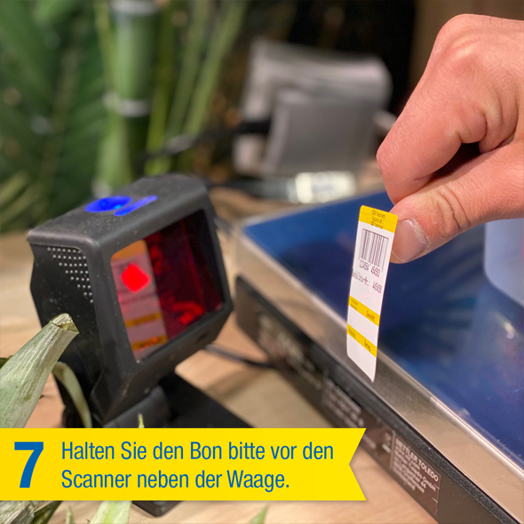 Obst &  Gemüse direkt in Ihre Schüssel