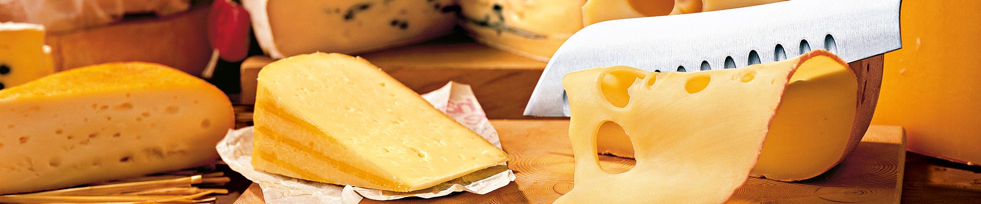 Käse und Molkerei